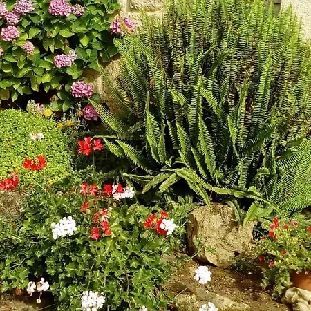 La Tavernetta Апартаменты